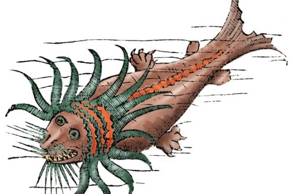 Kraken настоящая ссылка