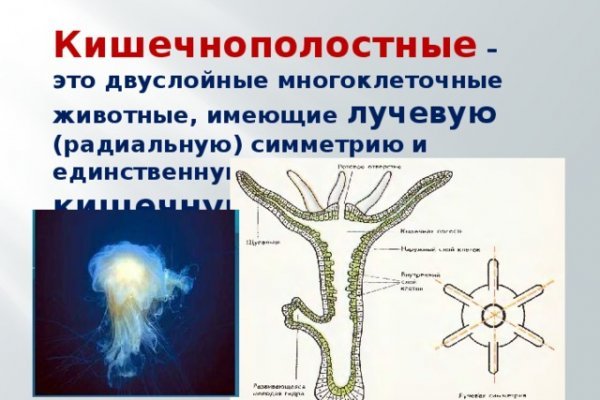 Впн для кракена